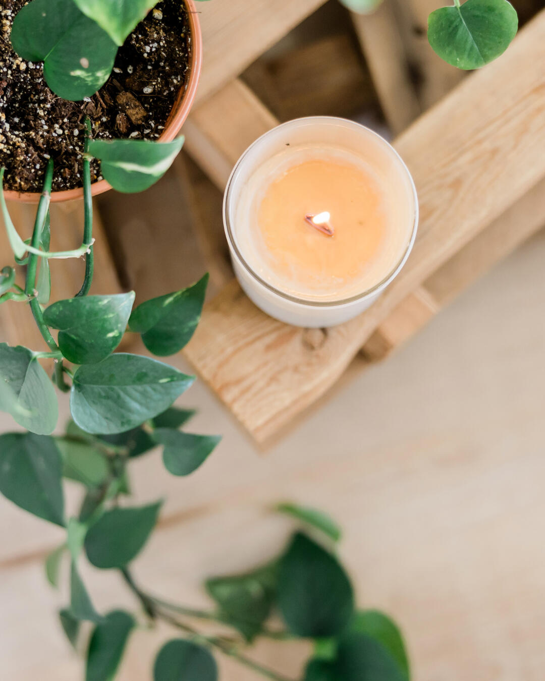 Dry Creek Ranch Workshops & Events